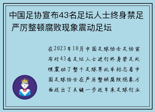 中国足协宣布43名足坛人士终身禁足 严厉整顿腐败现象震动足坛